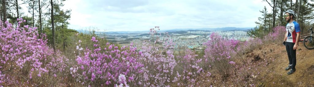 Daejeon's spring flowers and mountain bike trails iGuideKorea